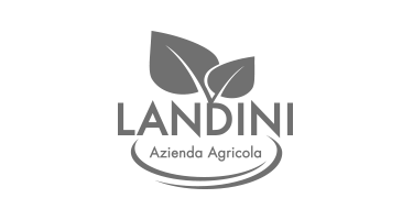 Client 13 – Landini